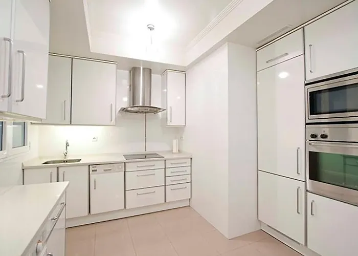 The Collection - Leonardo San Sebastián